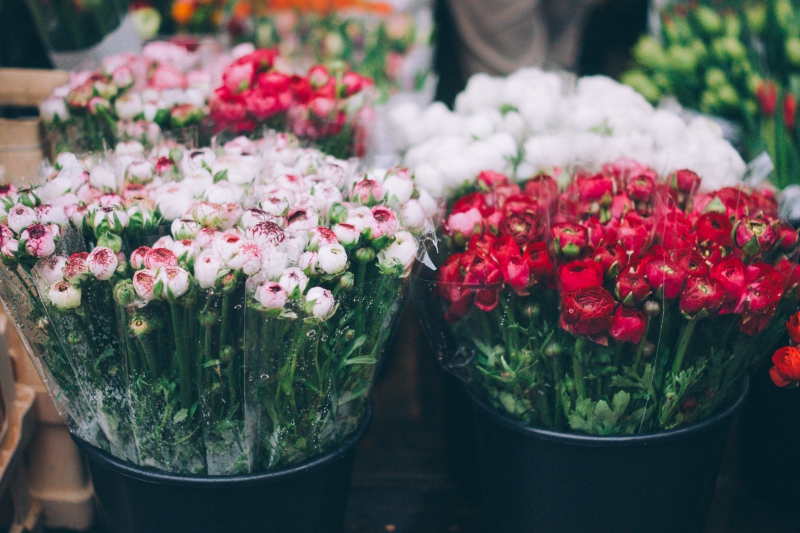 fleuriste-BARGEMON-min_farmers-market-1209712